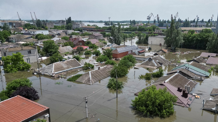 পুতিন-জেলেনস্কিকে যে প্রস্তাব দিলেন এরদোগান