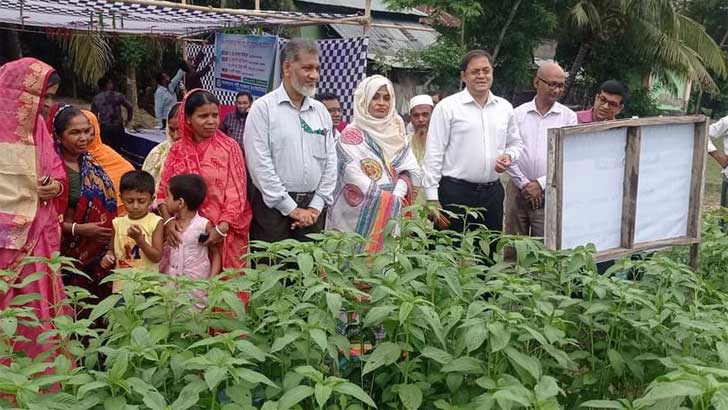 দেশের অর্থনৈতিক সমৃদ্ধি আসবে পাটের হাত ধরে: ড. আউয়াল