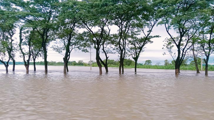 সিলেটে পাহাড়ি ঢলে নিম্নাঞ্চল প্লাবিত, বেড়িবাঁধে ভাঙন