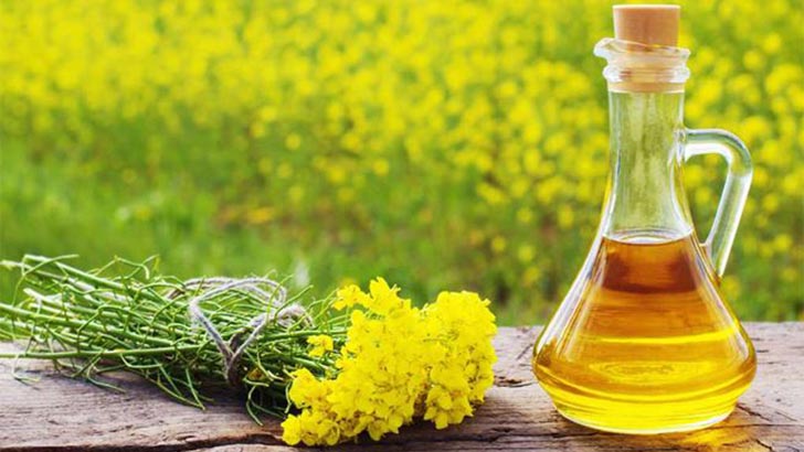 সরিষার তেল স্বাস্থ্যকর না ক্ষতিকর