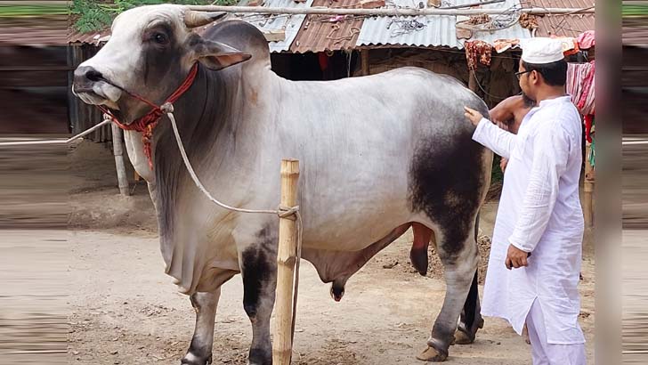 ছোট্ট সংসারে বড় স্বপ্ন দেখাচ্ছে আদরের ‘রাজাবাবু’