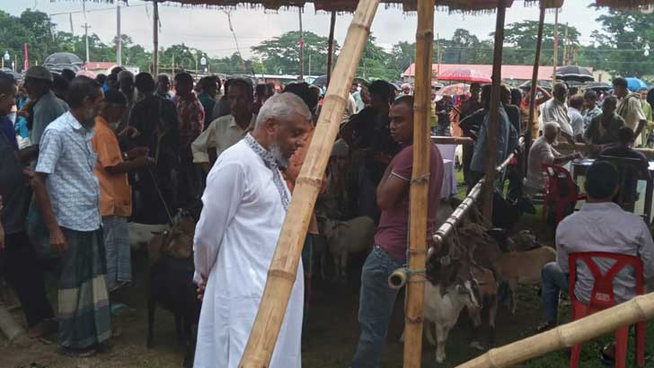 পশুর হাটে ছাগল কিনতে ব্যস্ত মেয়র আরিফুল হক