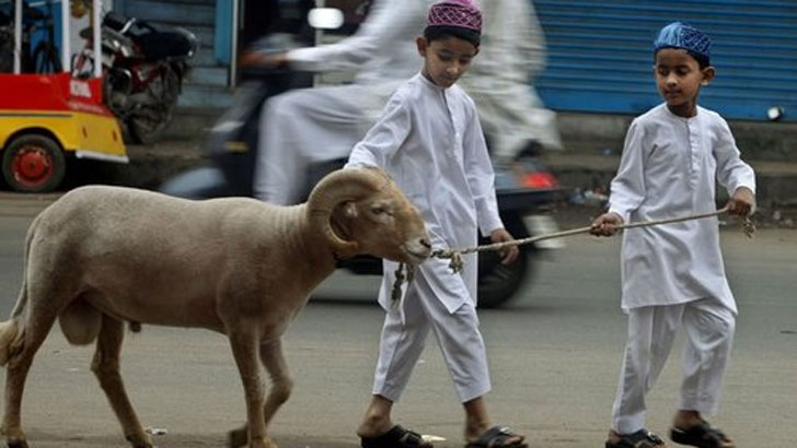 সামর্থ্যবানের জন্য কুরবানি ওয়াজিব