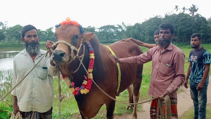 হীরালালকে নিয়ে দুশ্চিন্তায় সুলতান