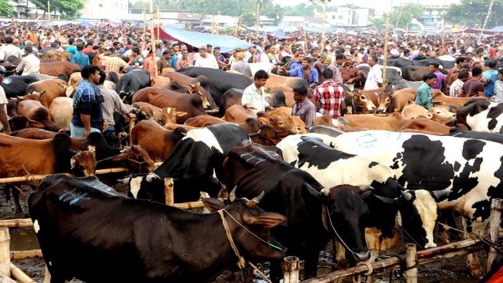 দরকষাকষিতে সরগরম হাট