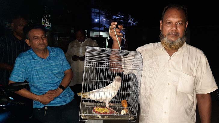 বিরল প্রজাতির সাদা কাক দেখতে ভিড়