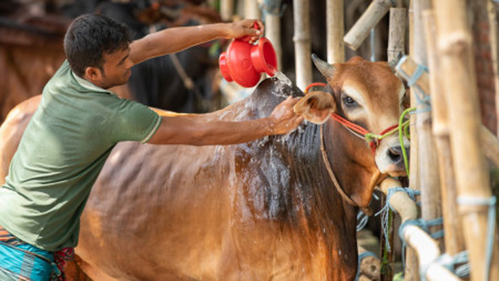 পবিত্র ঈদুল আজহা