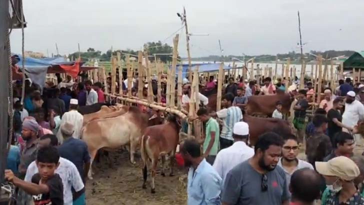 ধামরাইয়ে পশুর হাটে অতিরিক্ত টোল আদায়ের অভিযোগ