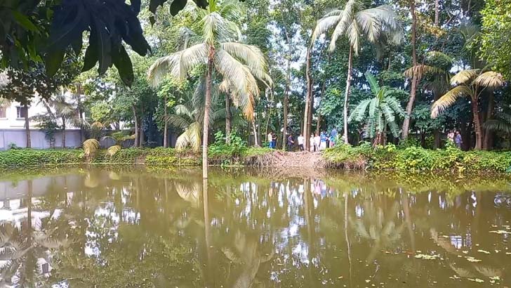 পুকুরের মাঝখানে নারিকেল গাছ! এলাকায় তোলপাড়