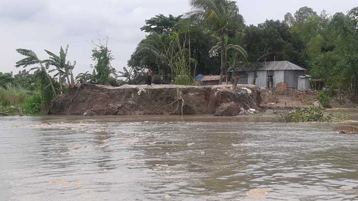 যমুনায় দ্রুত বাড়ছে পানি, ভাঙন বৃদ্ধি