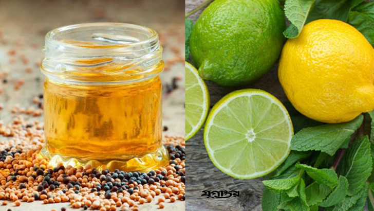 চুল পড়া বন্ধ করবে যে তেল