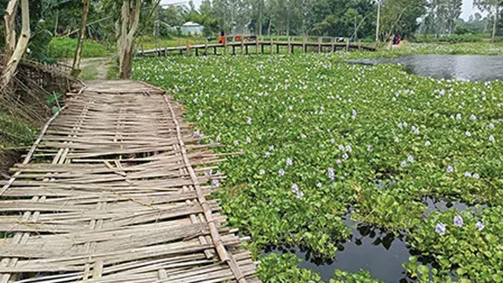 শুকনো মৌসুমে সাঁকো, বর্ষায় নৌকাই ভরসা