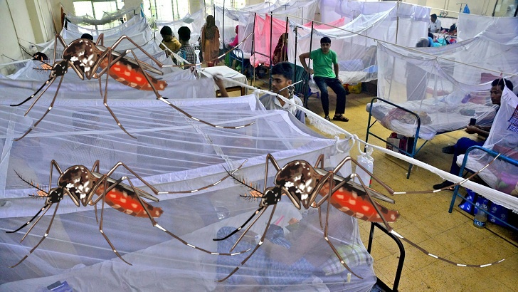 ডেঙ্গু প্রতিরোধে সবচেয়ে জরুরি সচেতনতা