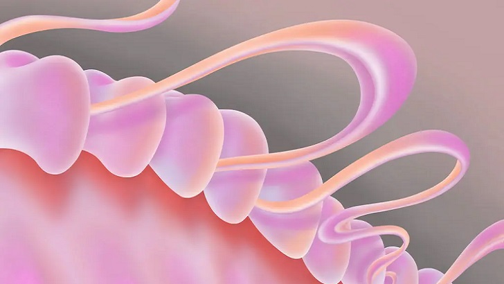 রোগে আক্রান্ত হওয়ার আগে শরীরের যত বিপদ চিহ্ন!