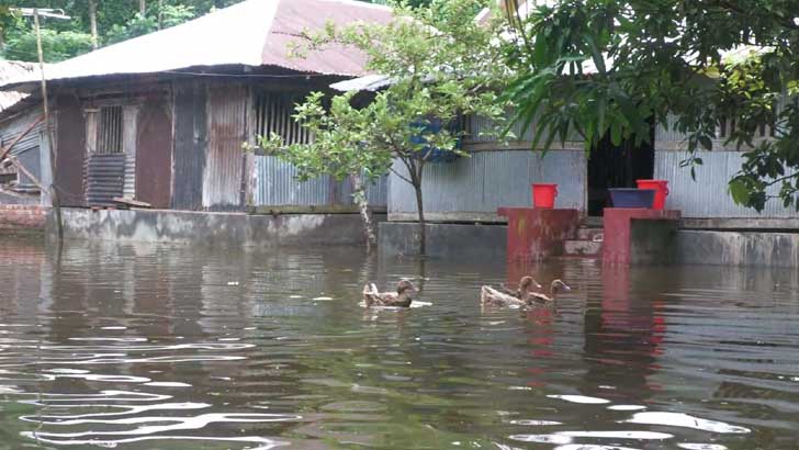 বাগেরহাটে বাঁধ ভেঙে লোকালয় প্লাবিত