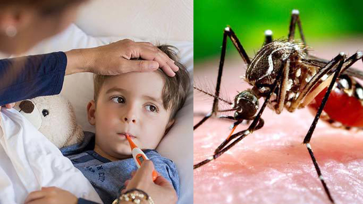 ডেঙ্গু থেকে বাঁচতে করণীয়