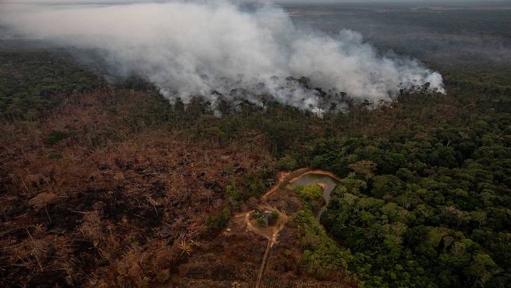 আমাজন রক্ষায় ৮ দেশের প্রথম শীর্ষ সম্মেলন