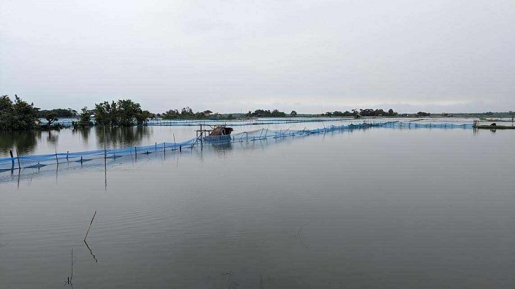 বাগেরহাটে ভেসে গেছে ৪ সহস্রাধিক চিংড়ি ঘের