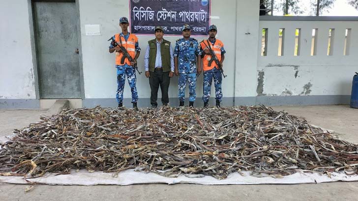 কোস্টগার্ডের অভিযানে ৫ কোটি টাকা মূল্যের নিষিদ্ধ হাঙর জব্দ