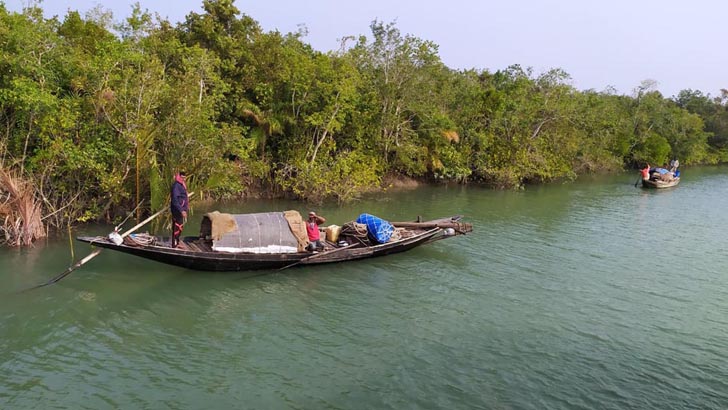 তিন মাস পর সুন্দরবনের দ্বার খুলছে আজ