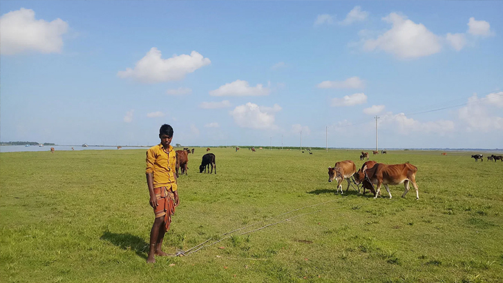 গরিব কৃষকের হাঁসফাঁস