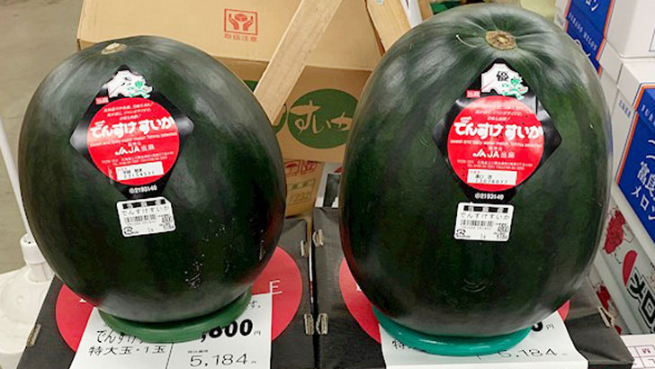 এক তরমুজের দাম লাখ টাকা!