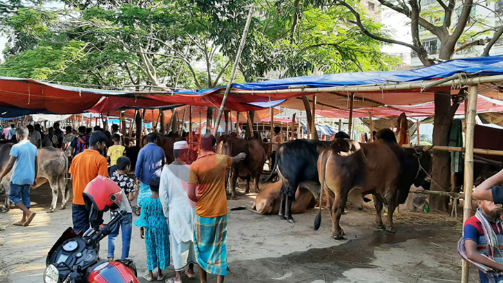 আফতাবনগরে পশুর হাট বন্ধের নির্দেশনা চেয়ে রিট দায়ের