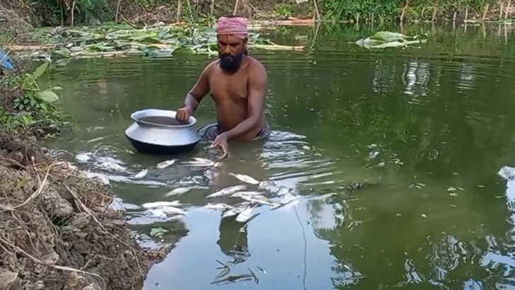 মাছের সঙ্গে এ কেমন শত্রুতা!