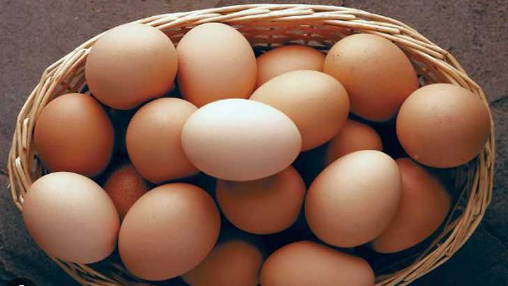 ভারত থেকে আসছে ৪ কোটি ডিম