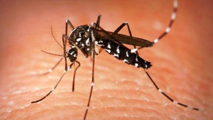 ভাঙ্গায় ডেঙ্গু জ্বরে ব্যবসায়ীর মৃত্যু