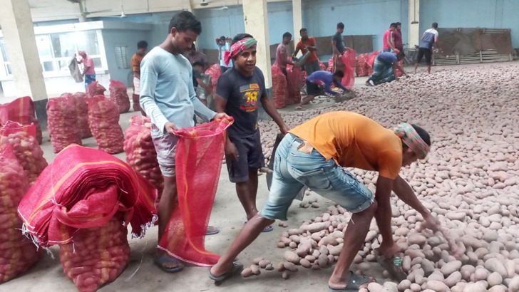 আলুর কৃত্রিম সংকট সৃষ্টি করছে আড়তদাররা