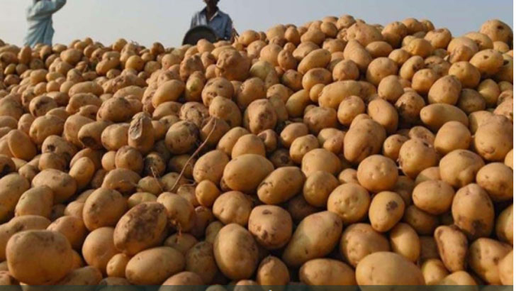 কুমিল্লায় ১০৮ বস্তা আলু জব্দ করে নির্ধারিত মূল্যে বিক্রি