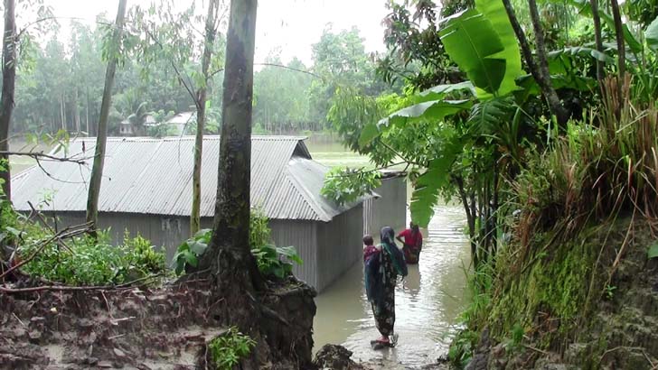 পাহাড়ি ঢলে তিস্তার চরাঞ্চল প্লাবিত