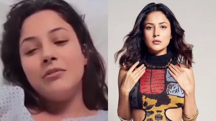 হাসপাতালে অভিনেত্রী শেহনাজ গিল