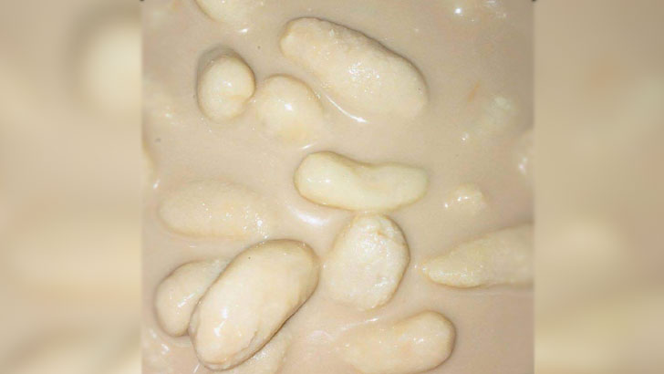 মাতৃভান্ডারের সুনামে গড়ে উঠেছে অনেক ‘নকল মাতৃভান্ডার’