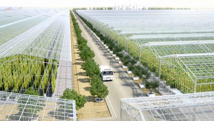 গিনেস ওয়ার্ল্ড রেকর্ডসে নাম লেখাল সৌদি আরব