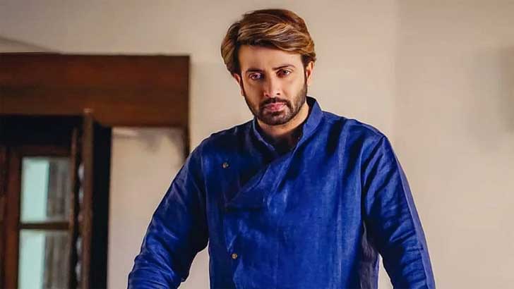 ভিসা জটিলতায় আটকে গেল শাকিবের শুটিং