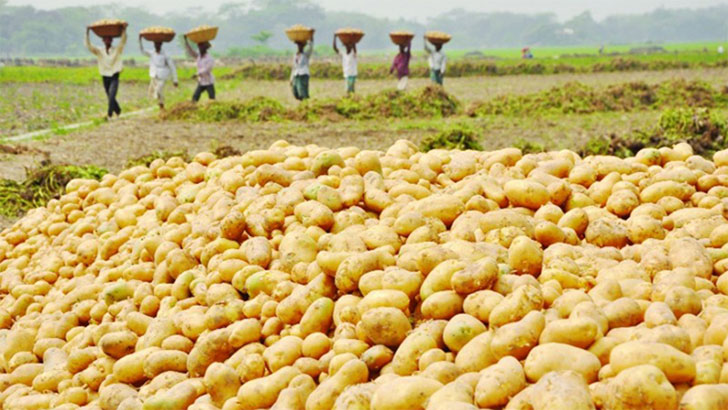 আলু আমদানির অনুমতি চেয়েছে ১৫ প্রতিষ্ঠান