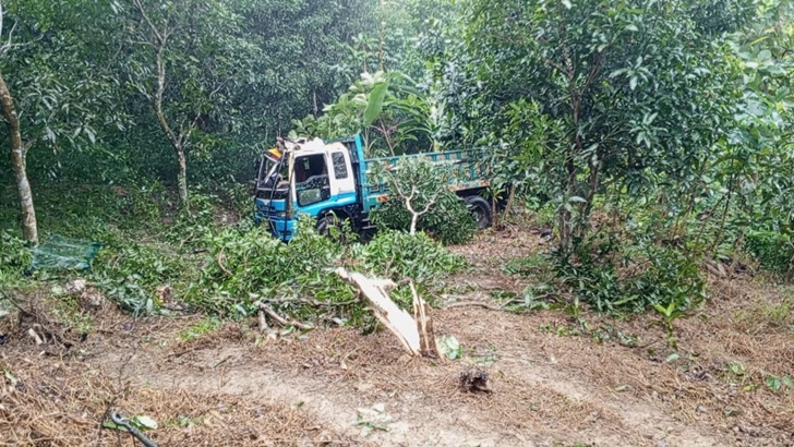 সড়ক দুর্ঘটনায় শ্রমিক লীগের সহসভাপতি নিহত