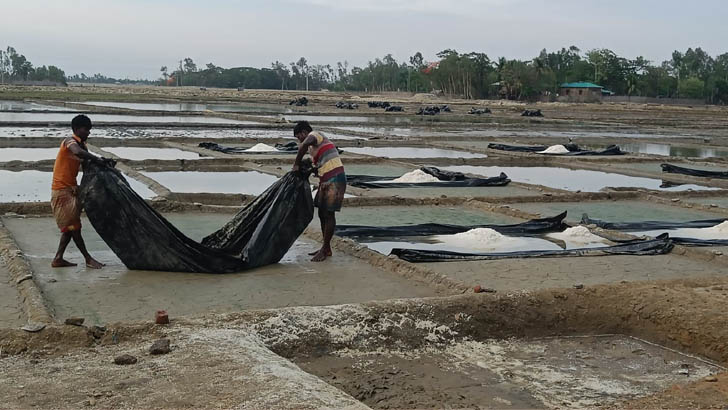 অবিক্রীত হাজার হাজার টন লবণ, আমদানির খবরে দুশ্চিন্তায় চাষিরা