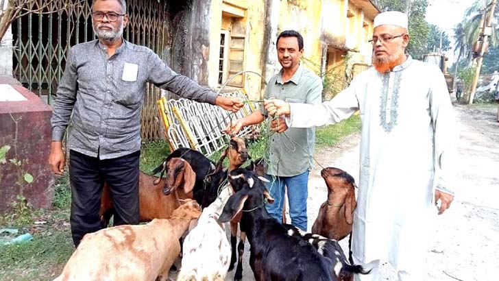 বরিশালে ১ বছর ‘সাজা খেটে’ মুক্তি পেল ৯ ছাগল