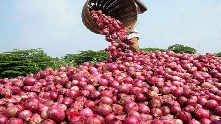 গ্রীষ্মকালীন পেঁয়াজ উৎপাদনে প্রণোদনা বাড়ানো হবে: কৃষি সচিব