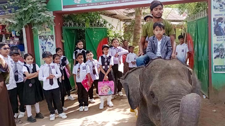 ভাগ্নে-ভাগ্নির রেজাল্ট শুনতে হাতি নিয়ে স্কুলে মামা