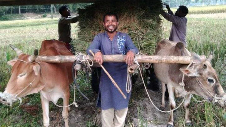 কৃষকের ২ গরু চুরি, সন্ধান চেয়ে ফেসবুকে স্ট্যাটাস