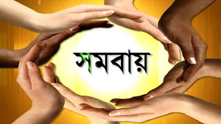 ক্ষুদ্রঋণ, সমবায় ও বিমাসেবা