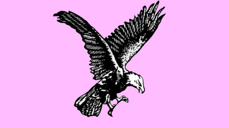 স্বতন্ত্র প্রার্থীদের মধ্যে ঈগল প্রতীক যে কারণে জনপ্রিয়