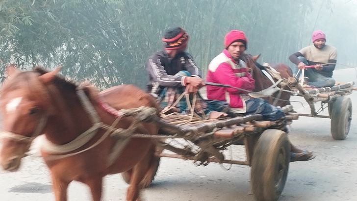 বৃষ্টির ফোঁটার মত পড়ছে কুয়াশা, আরও বাড়তে পারে শীত