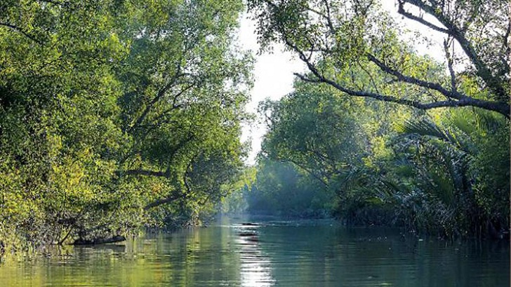 সুন্দরবনে নির্মিত হচ্ছে ‘বাঘের টিলা’