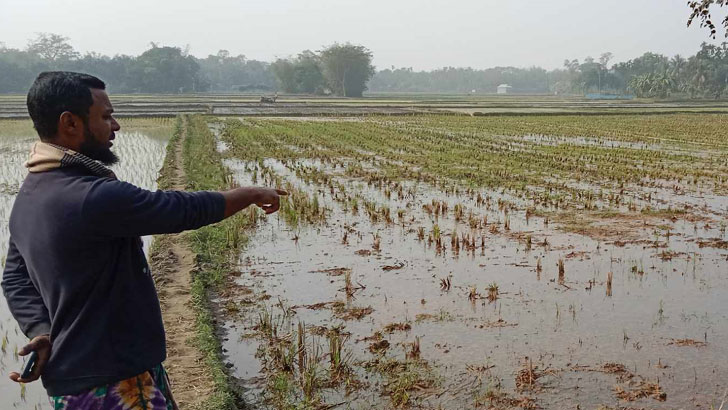 কেন্দুয়ায় চাঁদা না দেওয়ায় কৃষকের জমির চাষাবাদ বন্ধ