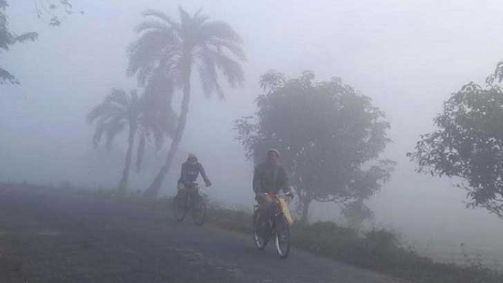 ঘন কুয়াশার কারণে লেট ব্লাইটের শঙ্কা